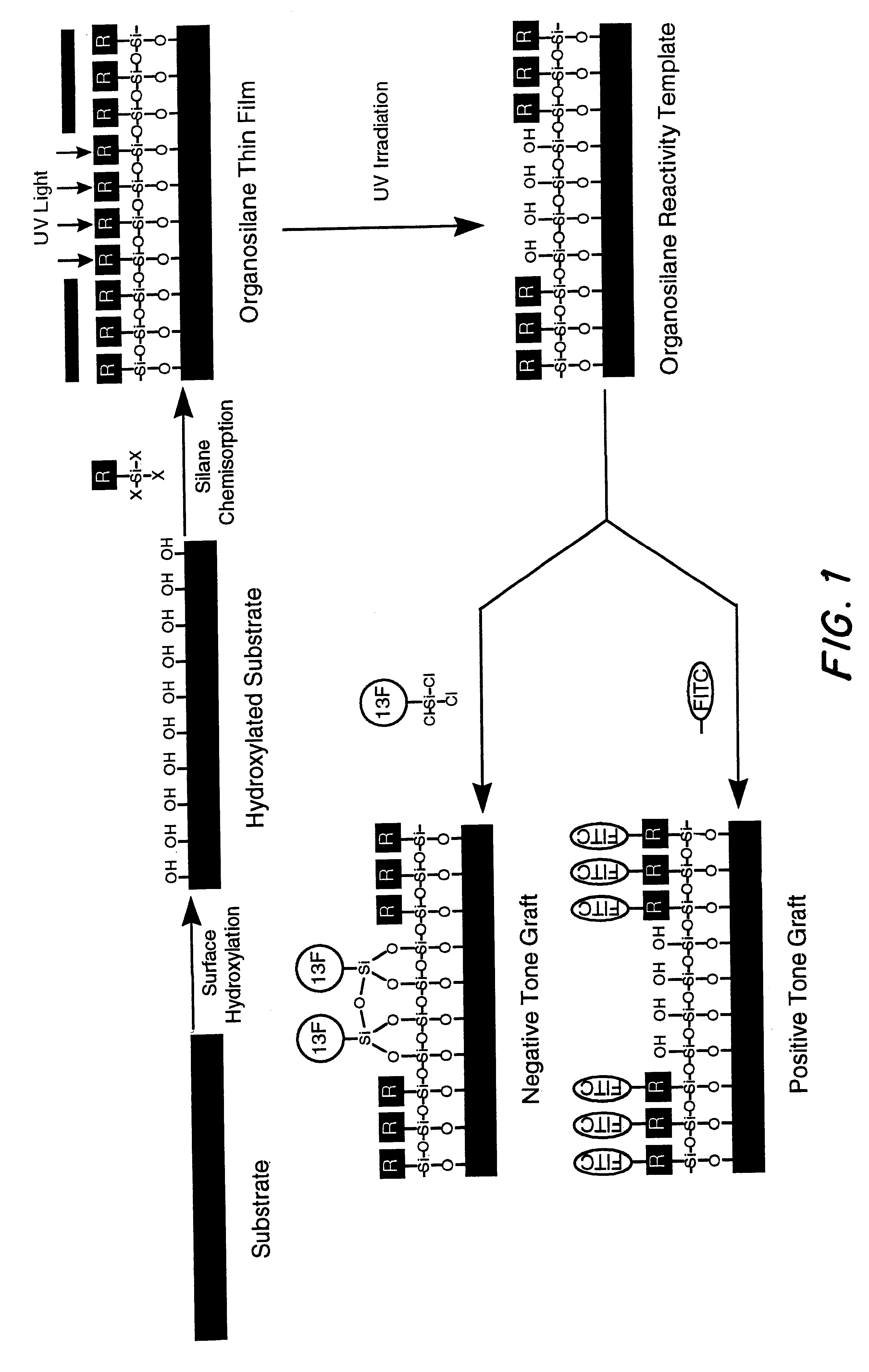 Methods and materials for selective modification of photopatterned polymer films