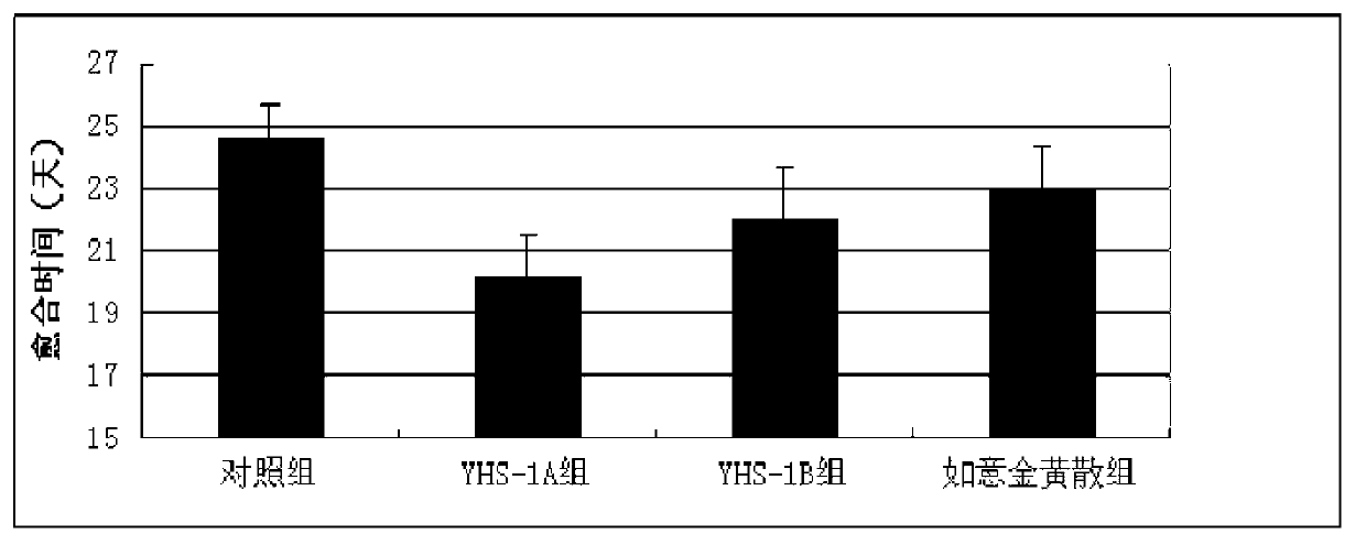 Traditional Chinese medicine composition for preventing and treating chemotherapeutic extravasation injury and preparation method and application thereof