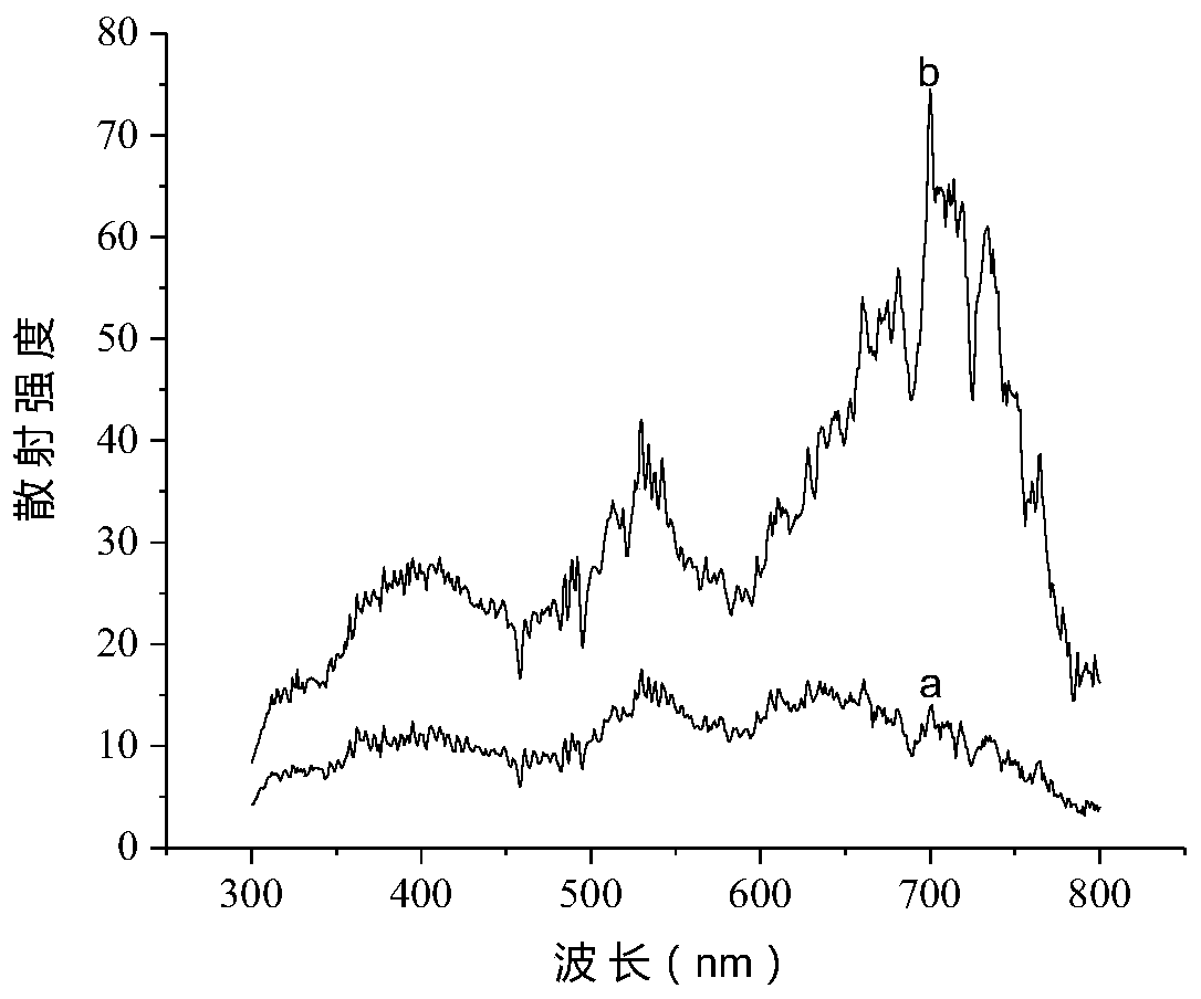 Method for determining trace hydrogen peroxide based on tetracarboxyl nickel phthalocyanine