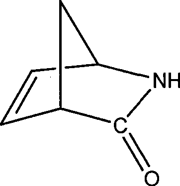 Method for preparing 2-azabicyclo[2.2.1]heptyl-5-ene-3-one
