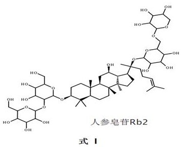 A Xuesaitong pharmaceutical composition and its preparation method, preparation and application