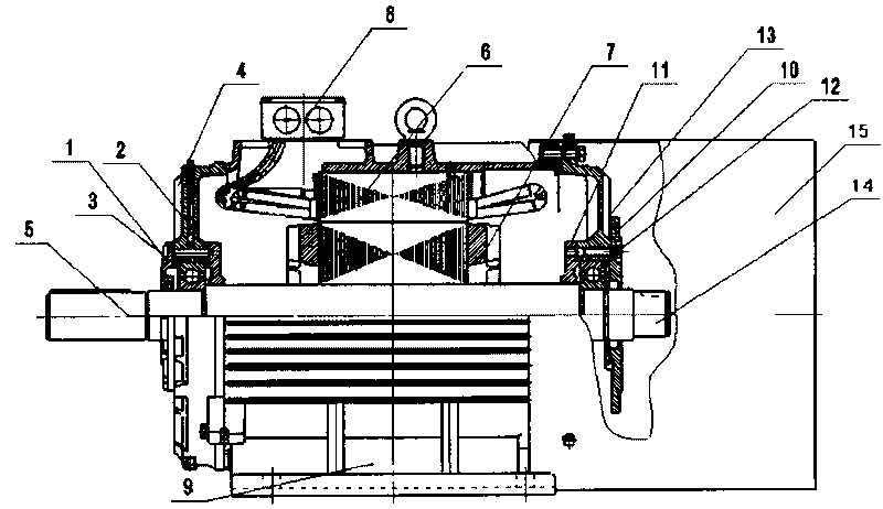 Low-voltage high power multi-branch three phase asynchronous motor