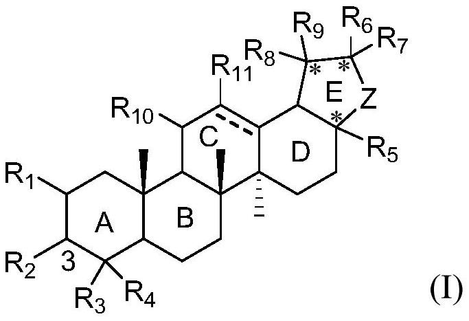 Pentacyclic triterpenoid TGR5 receptor stimulant, preparation method and application thereof