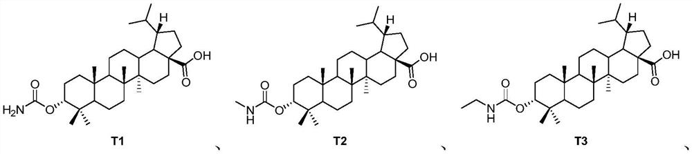 Pentacyclic triterpenoid TGR5 receptor stimulant, preparation method and application thereof