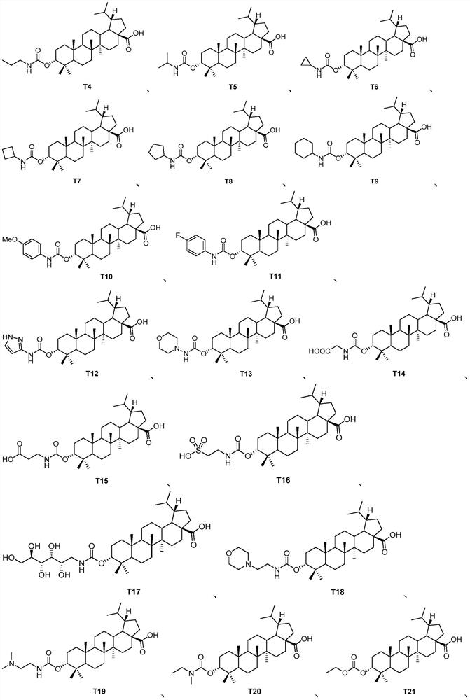 Pentacyclic triterpenoid TGR5 receptor stimulant, preparation method and application thereof