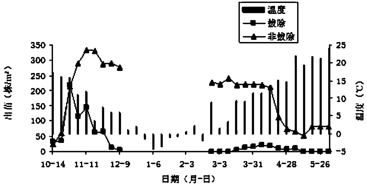 An Agronomic Method for Controlling Weeds in Winter Wheat Field