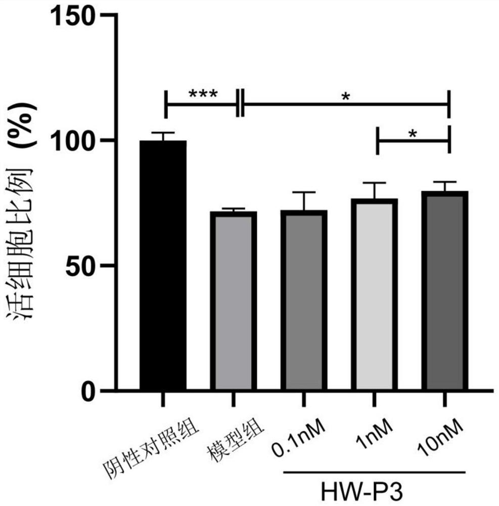 Nerve injury repair promoting active polypeptide HW-P3 sourced from sun frogs and application of active polypeptide HW-P3