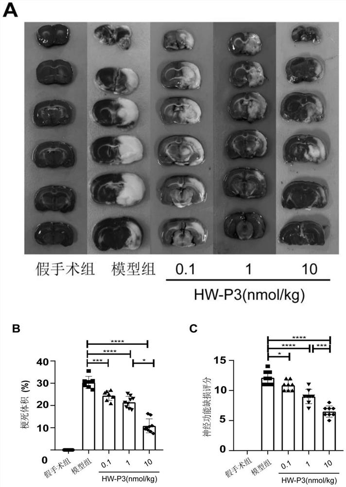Nerve injury repair promoting active polypeptide HW-P3 sourced from sun frogs and application of active polypeptide HW-P3