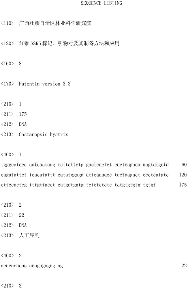 Red cone ssr5 marker, primer pair, preparation method and application thereof