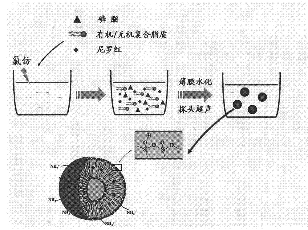 Method for detecting copper ions with lipid bilayer-containing organic/inorganic composite fluorescent nanoparticles