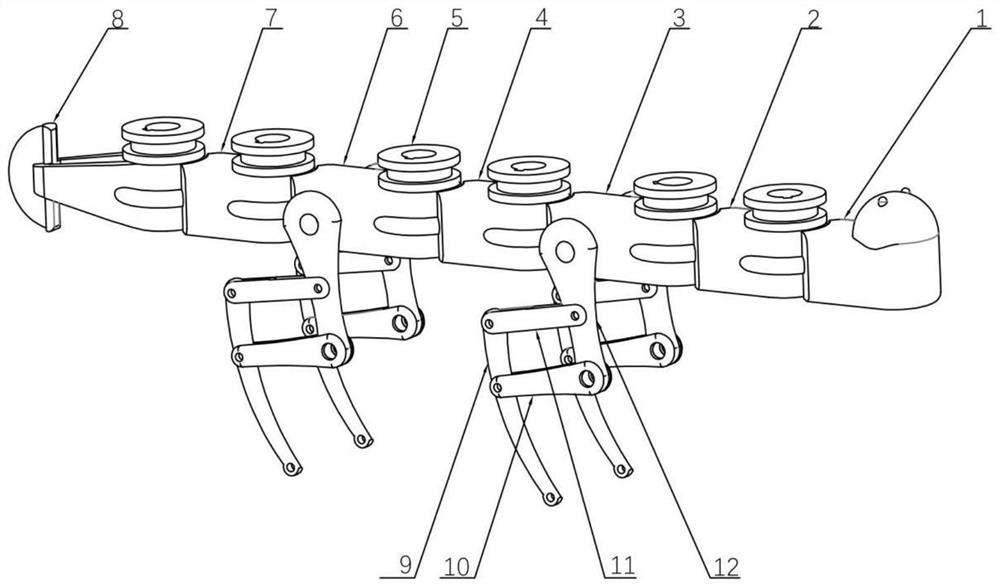 Samander-imitating robot