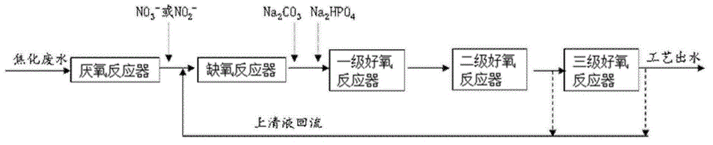 Biological treatment method, biological treatment system and bioreactor of coal chemical wastewater