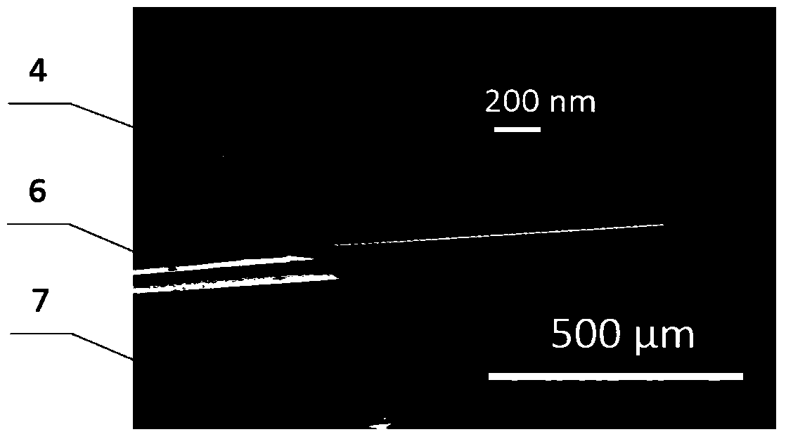 Preparation method of metal probe applicable to AFM (Atomic Force Microscope)