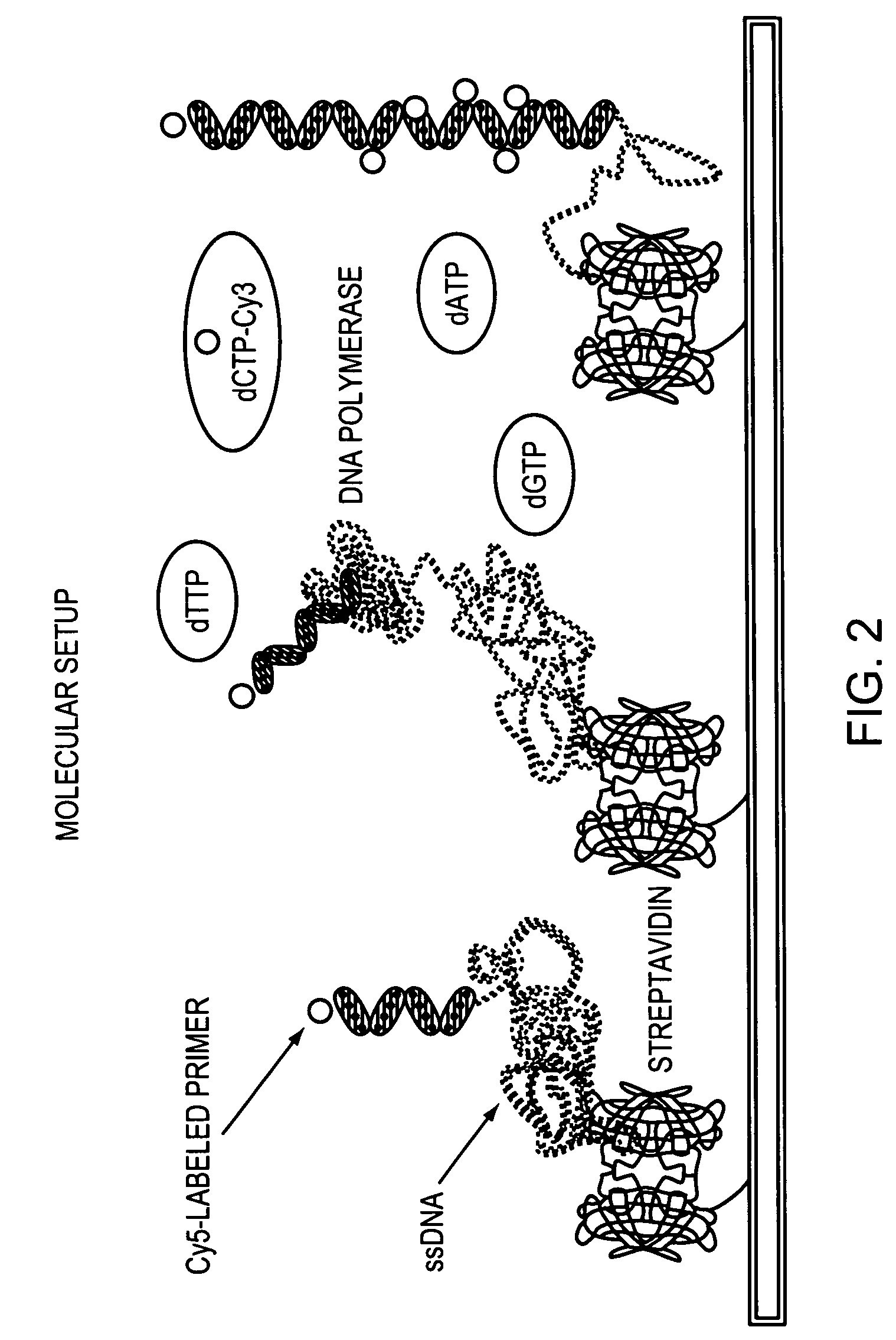 Methods and devices for nucleic acid sequence determination