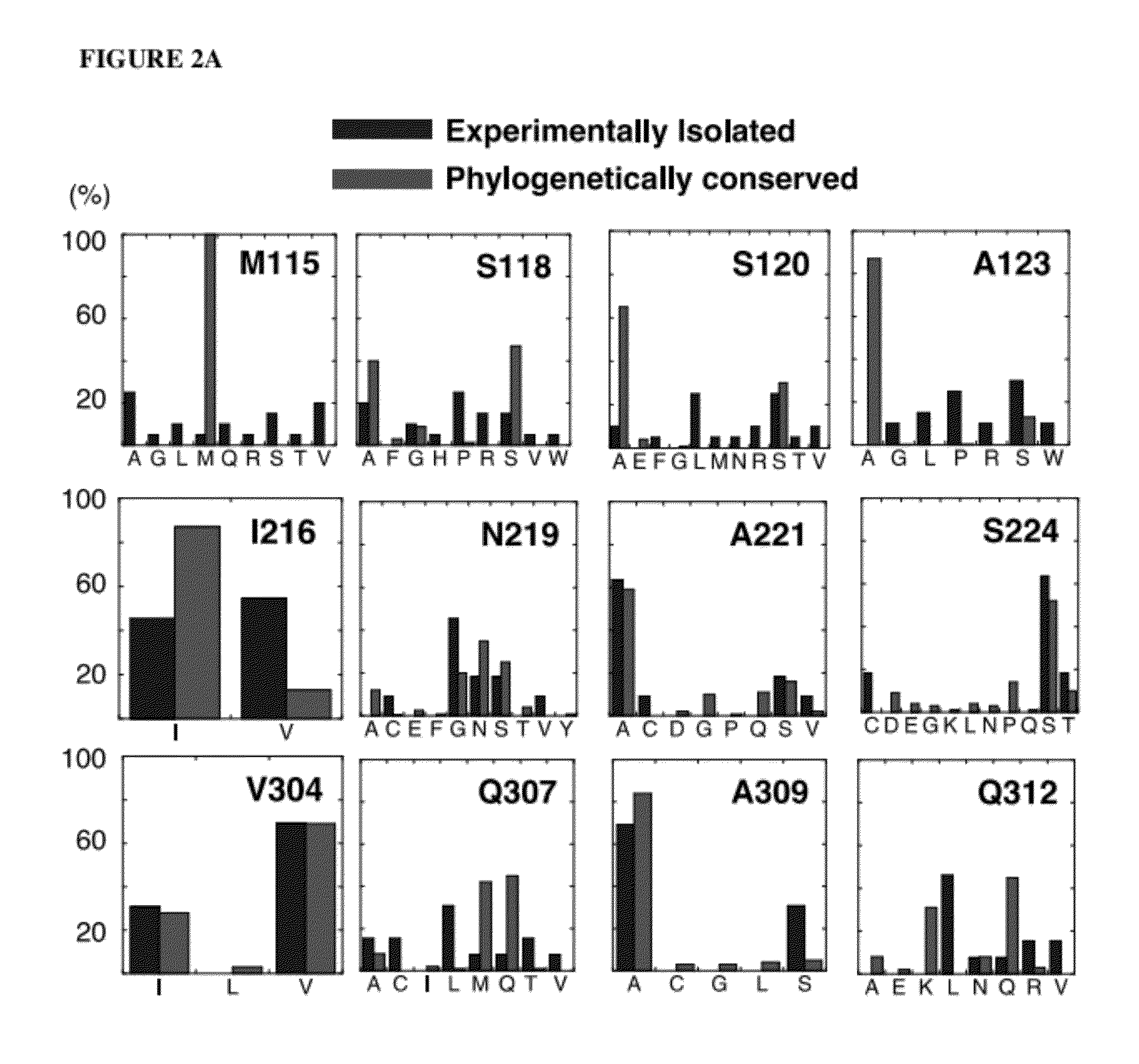 Compositions and method for deimmunization of proteins