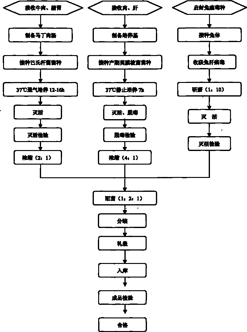 Rabbit triple inactivated vaccine, preparation method and application thereof