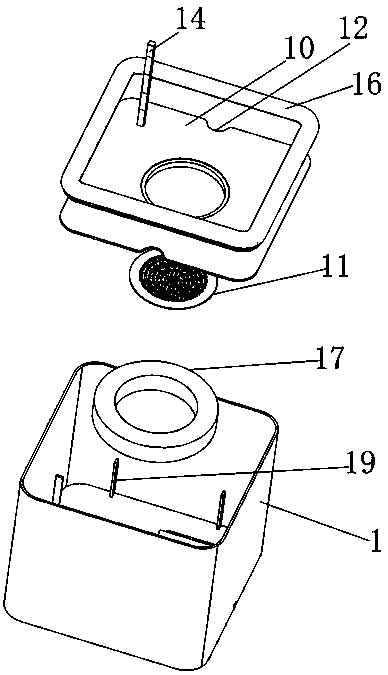 External pet water dispenser