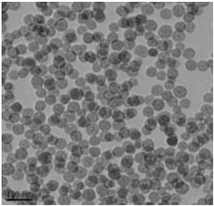 Self-cleaning coating with transmittance-increasing and wear-resisting functions and preparation method of self-cleaning coating