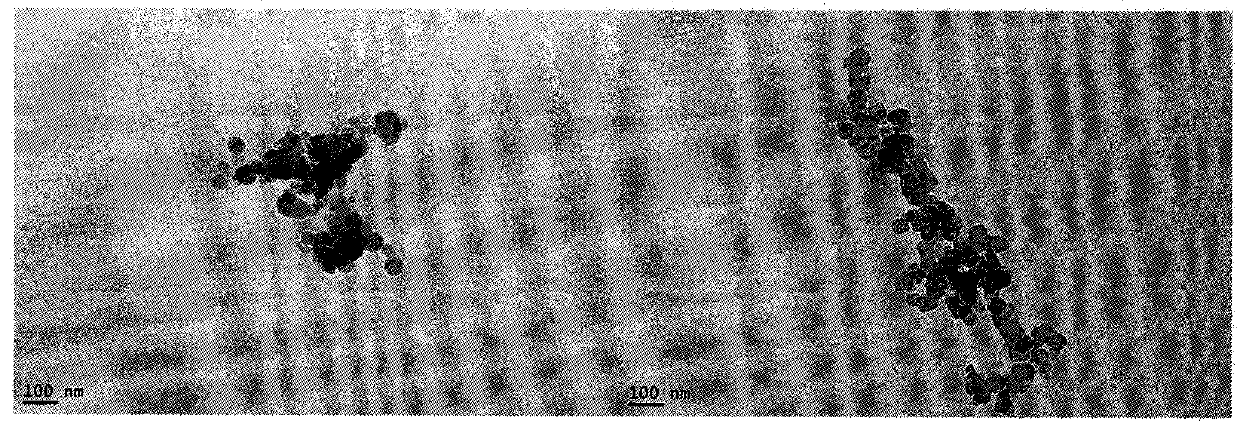 Octapeptide modified dexamethasone, preparation, nanostructure and application