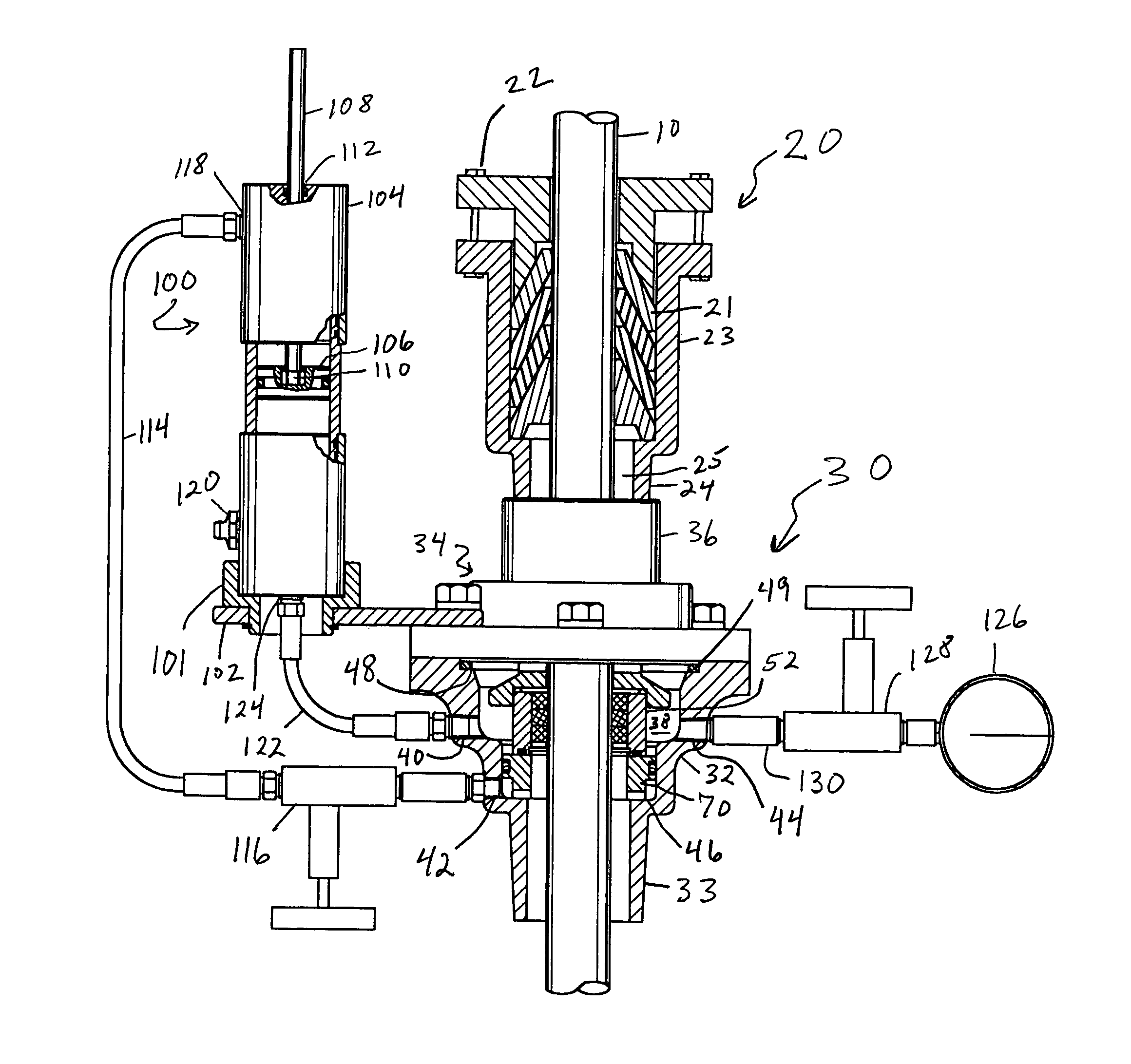 Secondary packing arrangement for reciprocating pump polished rod