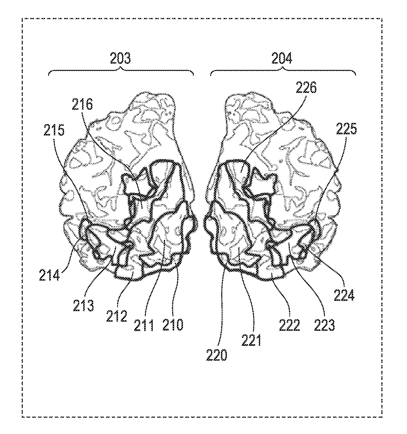 Method of identifying the spatial distribution of areas in a sensory area of brain, program, and recording medium therefor