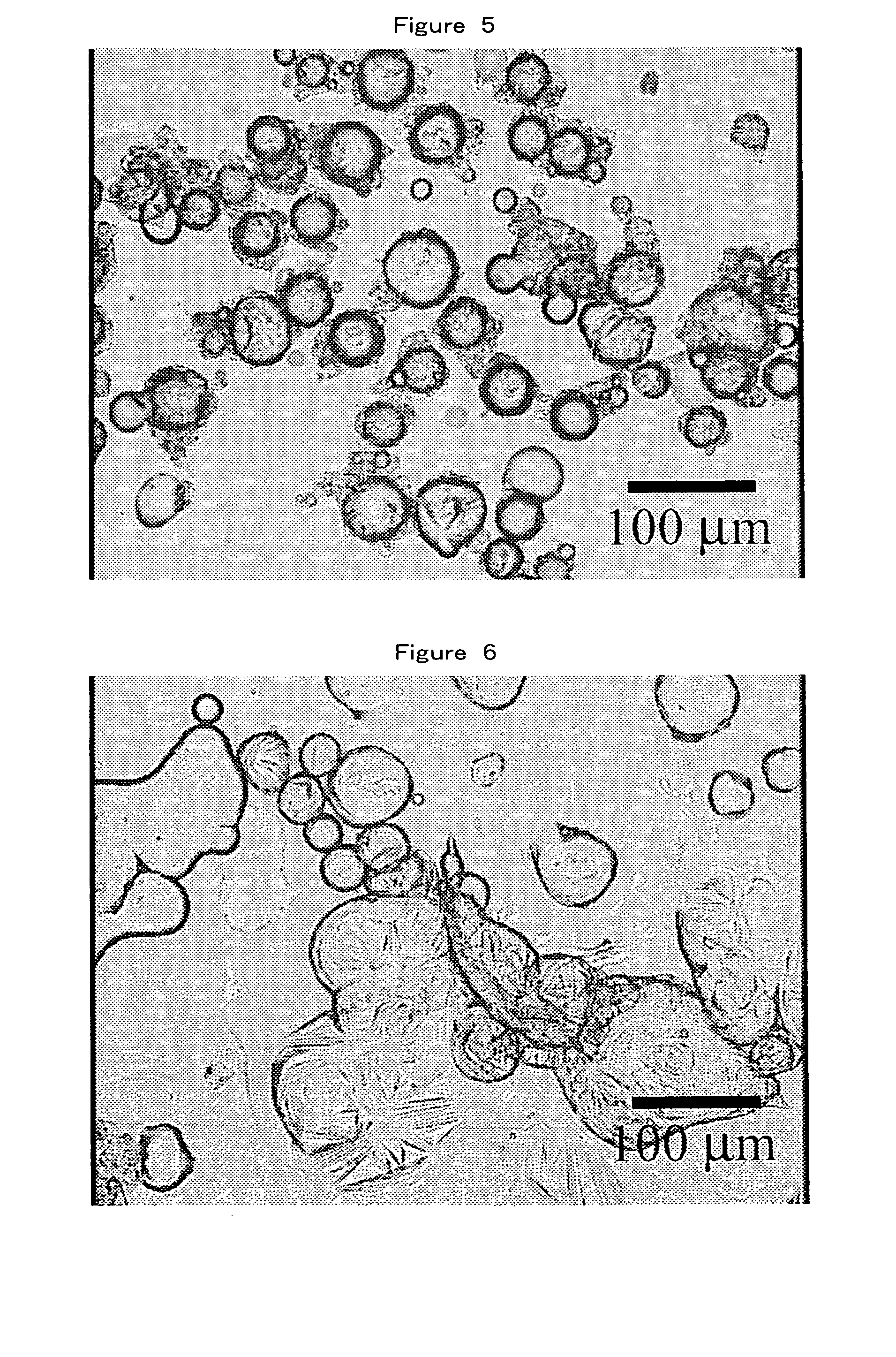 Microcapsules and processes for producing the same