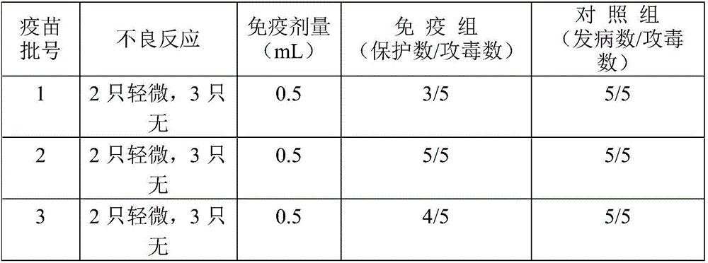 Fusobacterium necrophorum antigen, preparation method thereof, and vaccine prepared by adopting fusobacterium necrophorum antigen