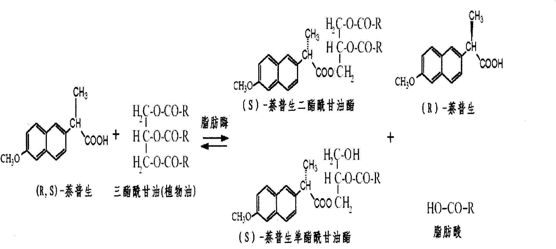 Preparation method of S-(+)-naproxen fatty acyl glyceride prodrug