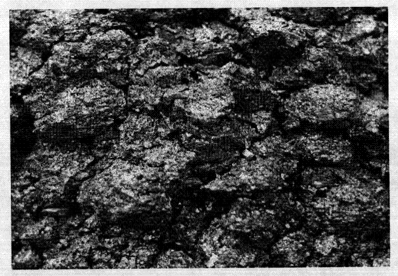 Method for producing carbonized coal with coal material