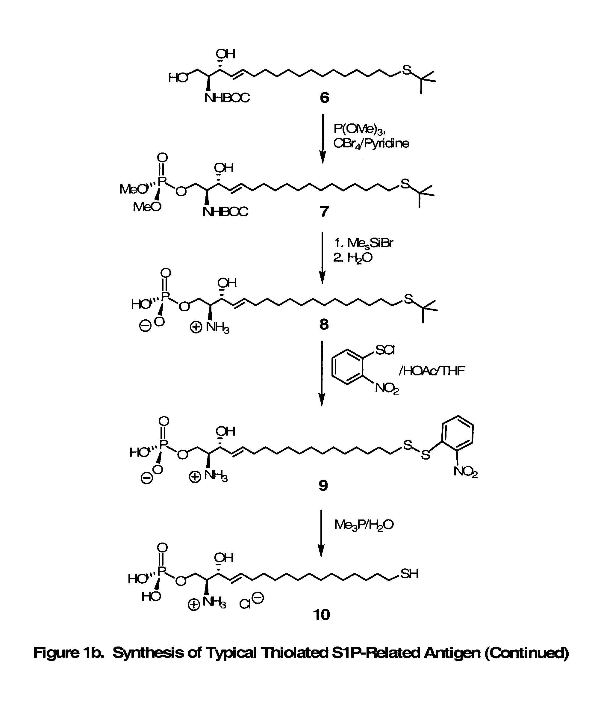 Novel Bioactive Lipid Derivatives, and Methods of Making and Using Same