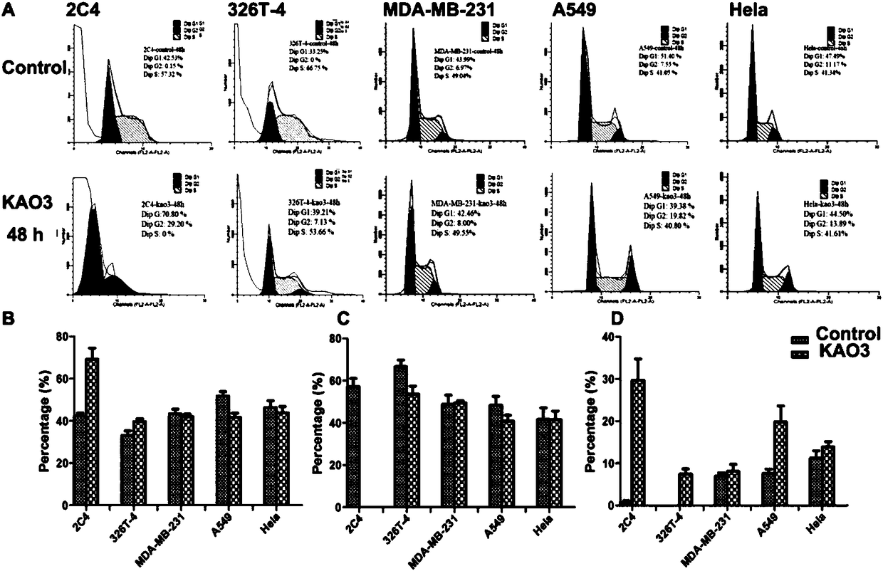 Application of anti-PL2L60 protein antibody in preparing anti-tumor medicine