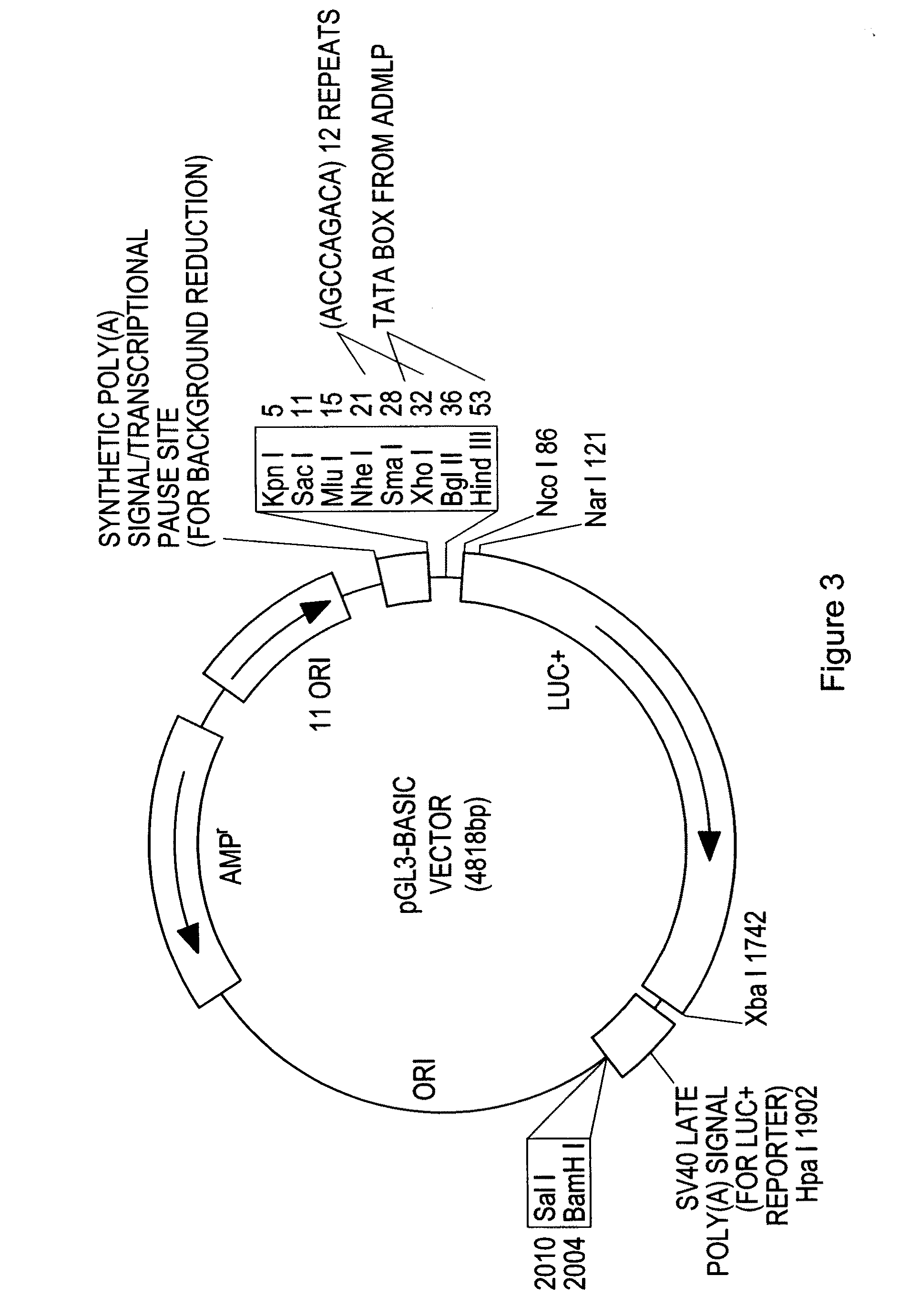 Activin-ActRIIa antagonists and uses for decreasing or inhibiting FSH secretion
