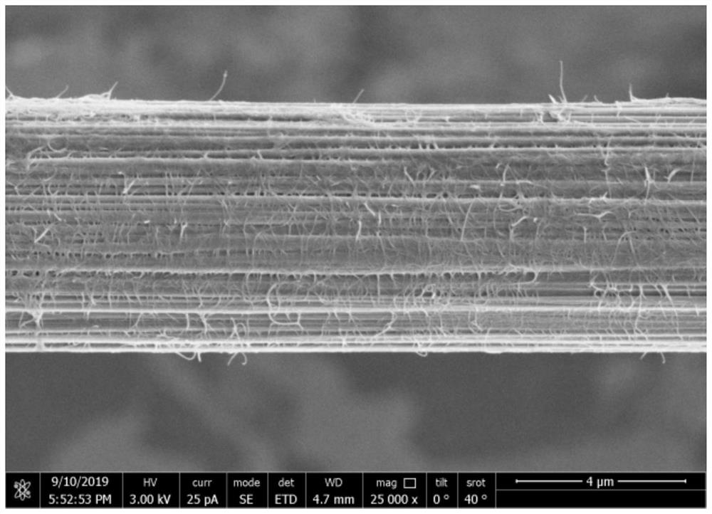 Preparation method of nano cellulose and carbon nanotube synergistically modified carbon fiber