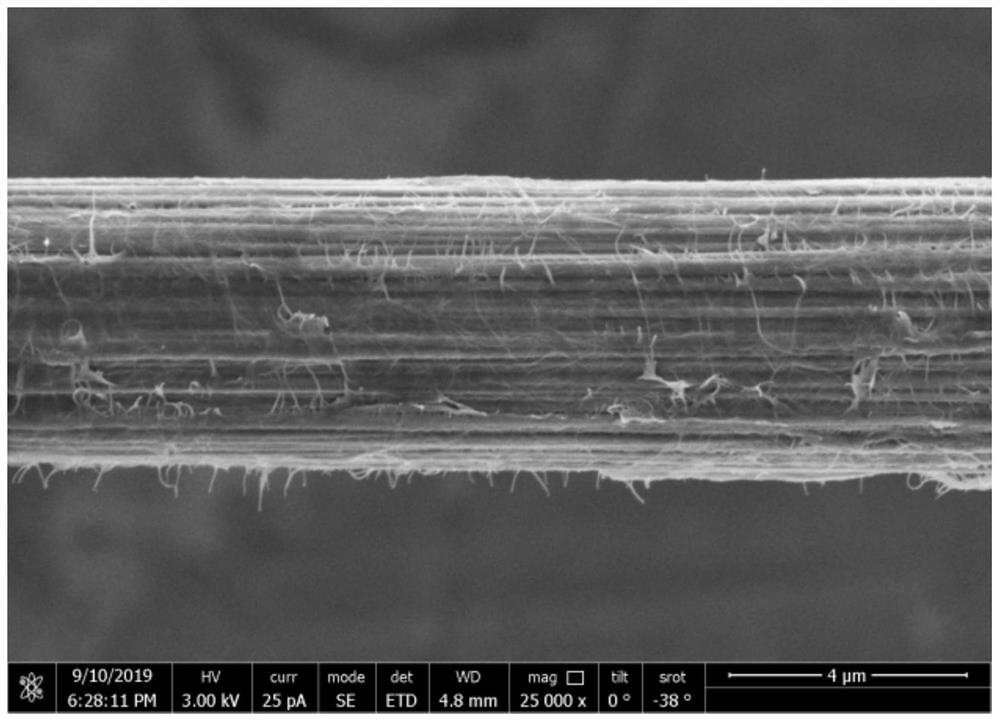 Preparation method of nano cellulose and carbon nanotube synergistically modified carbon fiber