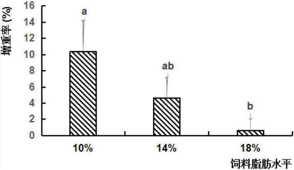 Artificially-compounded feed for developing sexual gland of parent Chinese sturgeon and preparation method and application