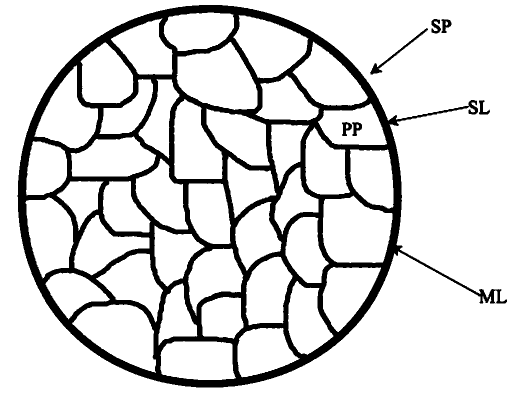 Positive pole material of lithium ion battery and preparation method of positive pole material