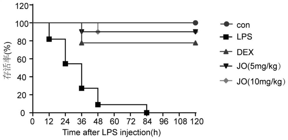 Use of jasurolignoside in the preparation of medicines for treating and/or preventing lung injury