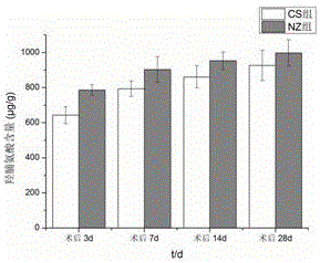 Novel degradable supporter for intestinal canal anastomosis surgery