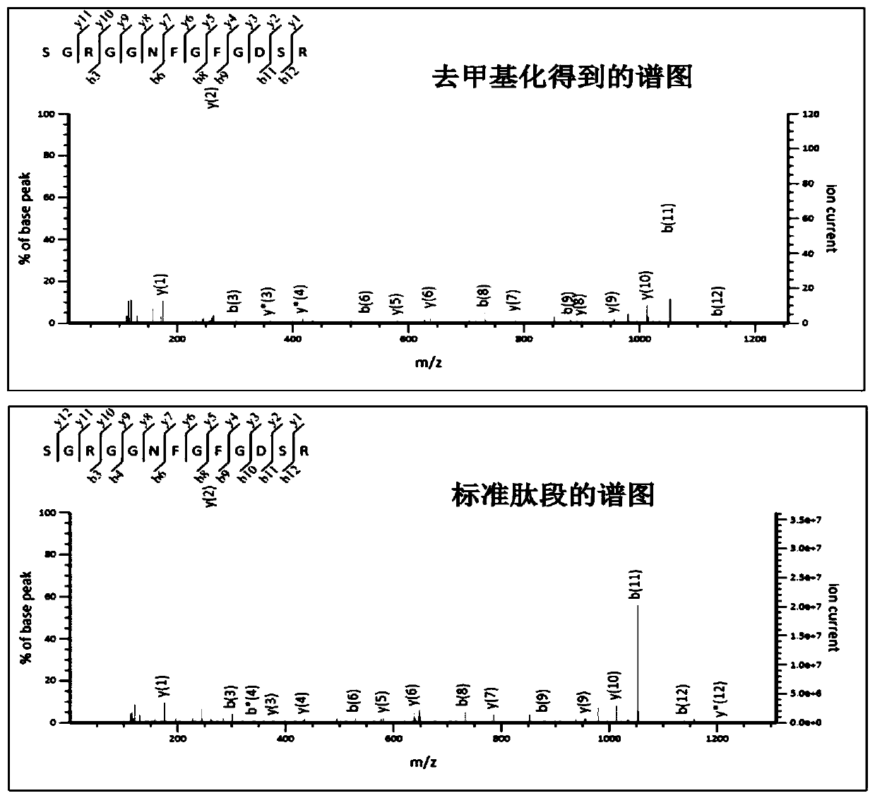 A method for identifying protein methylation