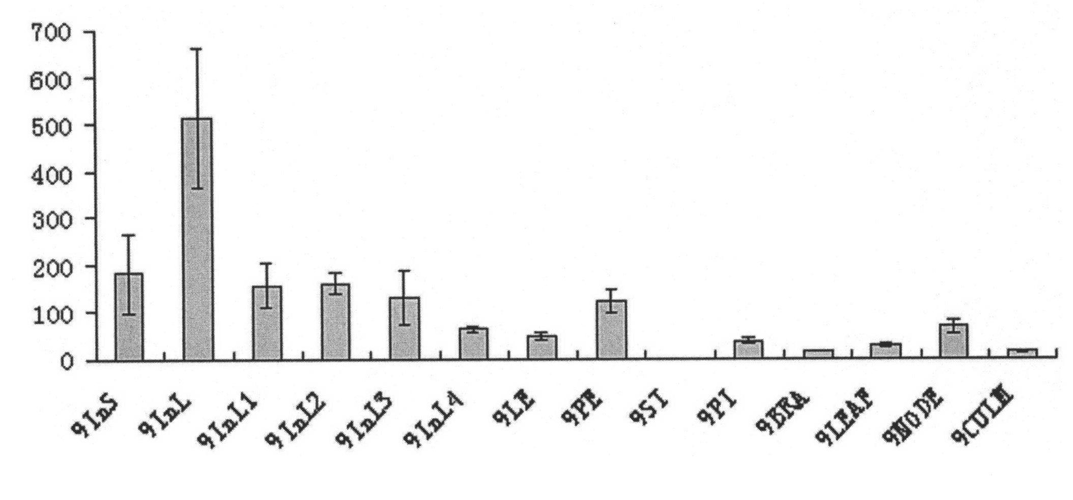 Rice glume development gene promoter p-TRI1 and application thereof