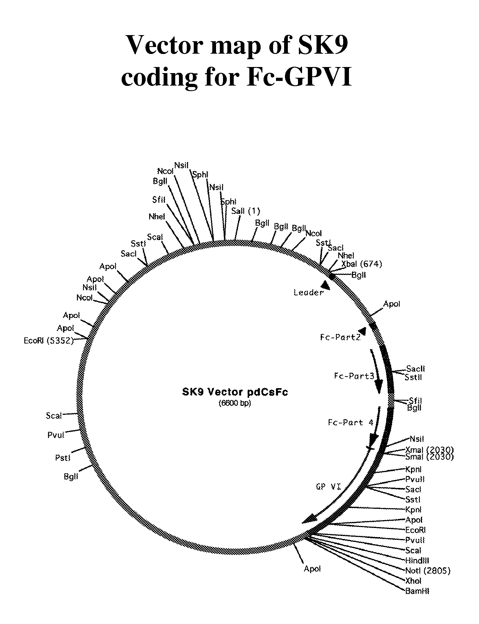 Glycoprotein VI fusion proteins