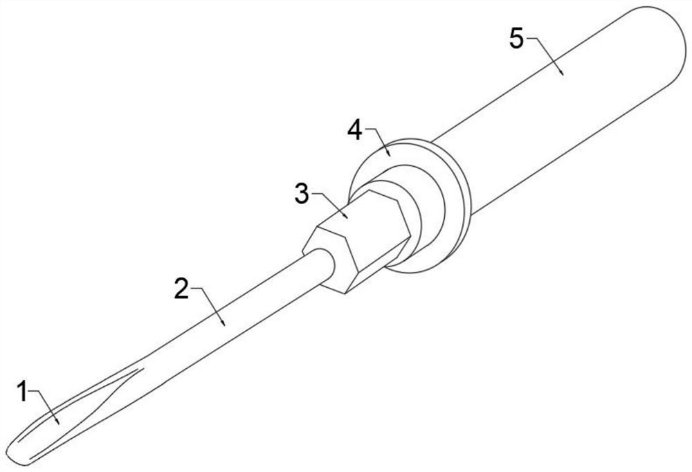 Stripping tool and auxiliary grafting method for golden camellia bud and ear grafting