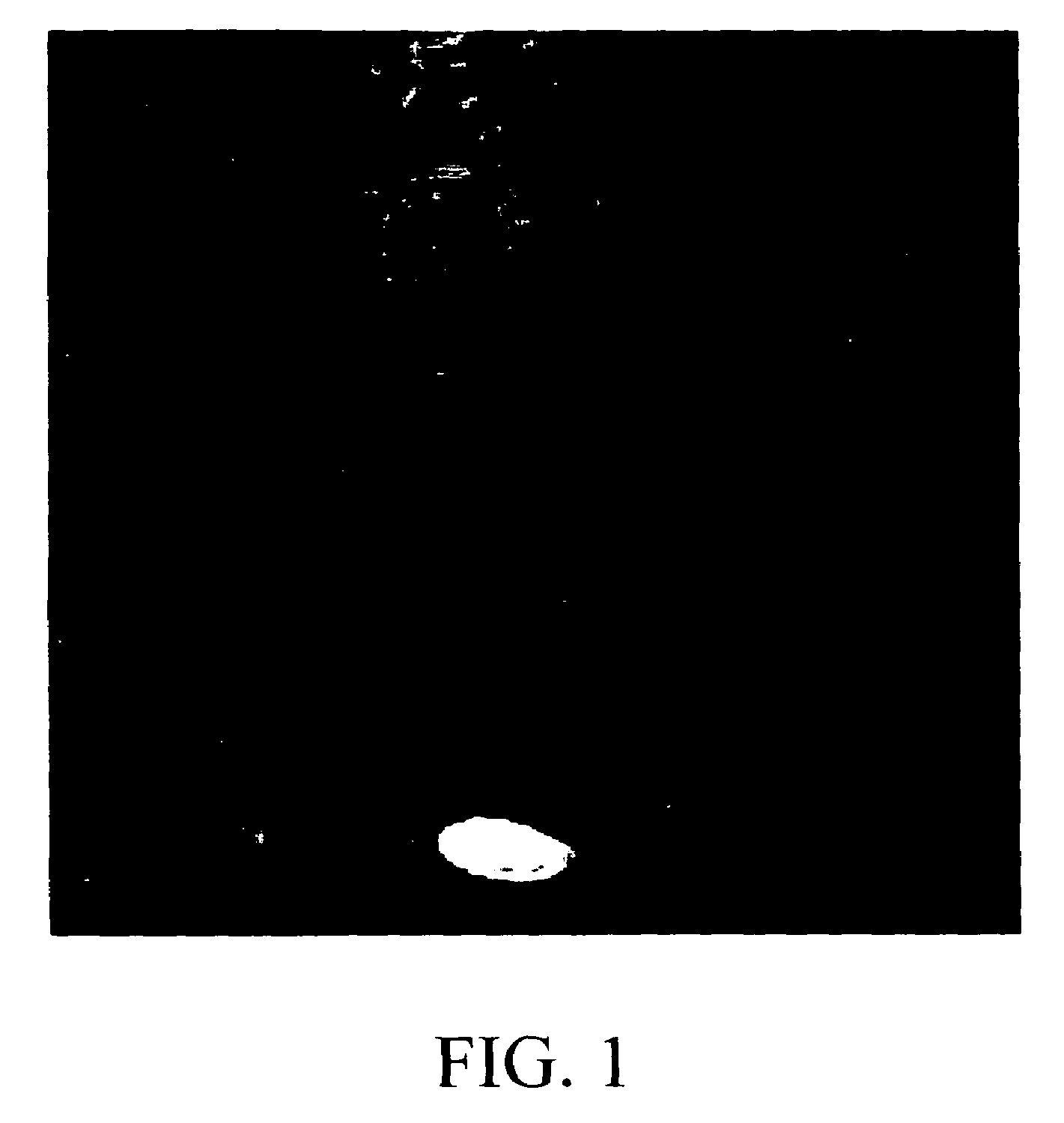 Charge neutral complexes of paramagnetic metals as intracellular magnetic resonance imaging contrast agents