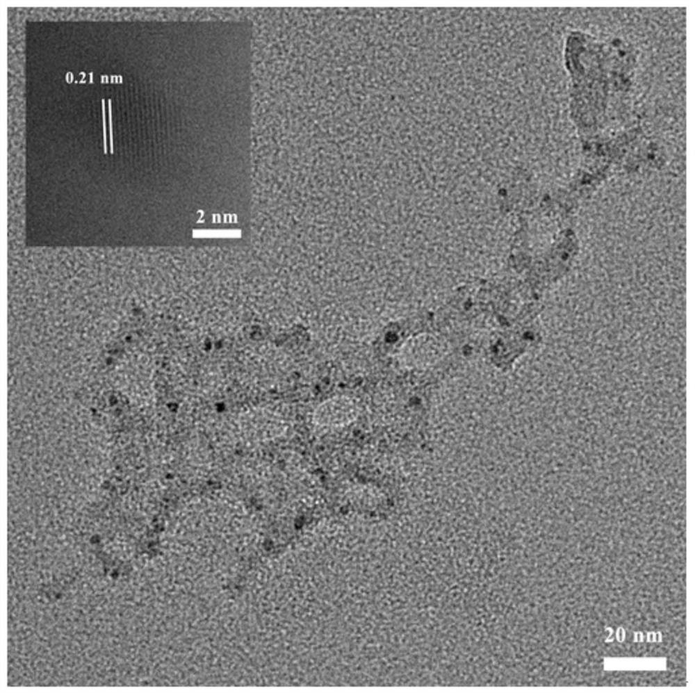 Preparation method and application of an aqueous room temperature phosphorescent carbon dot material