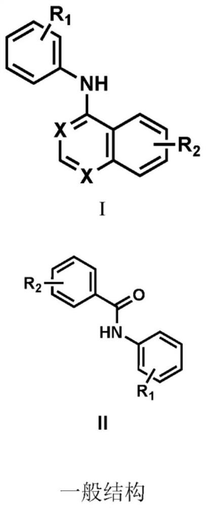 Novel inhibitors of guanosine monophosphate synthetase as therapeutic agents