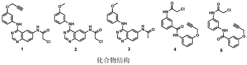 Novel inhibitors of guanosine monophosphate synthetase as therapeutic agents