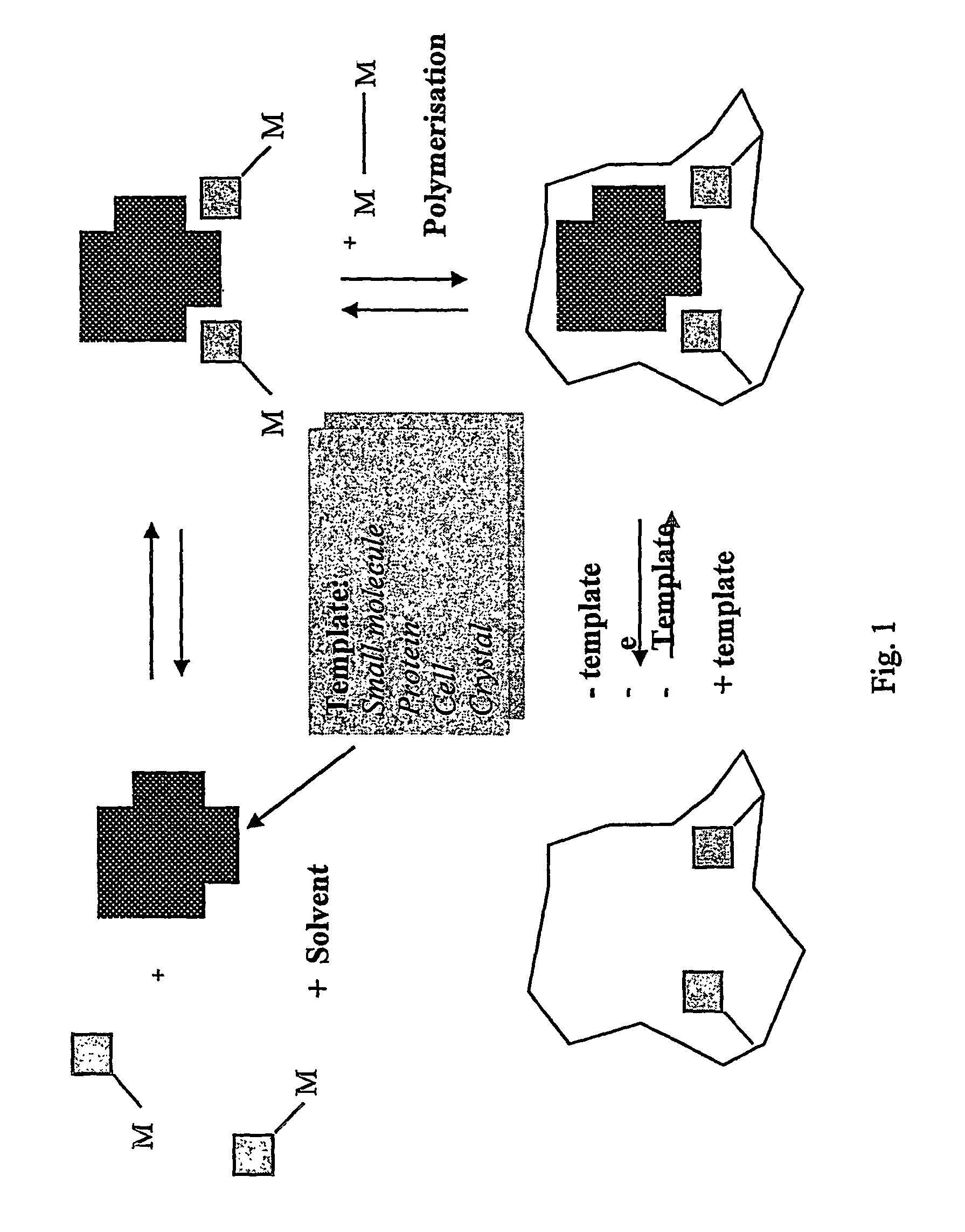 Moleculary imprinted polymers for extraction of components from foodstuffs