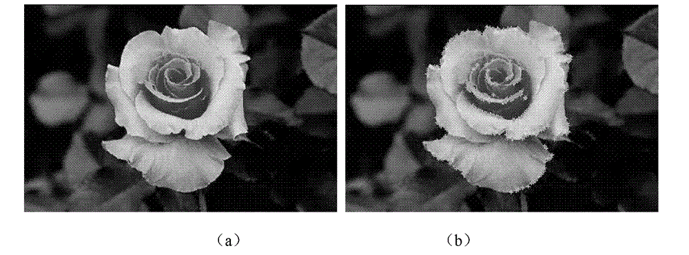Image sorting method based on local colors and distribution characteristics of characteristic points