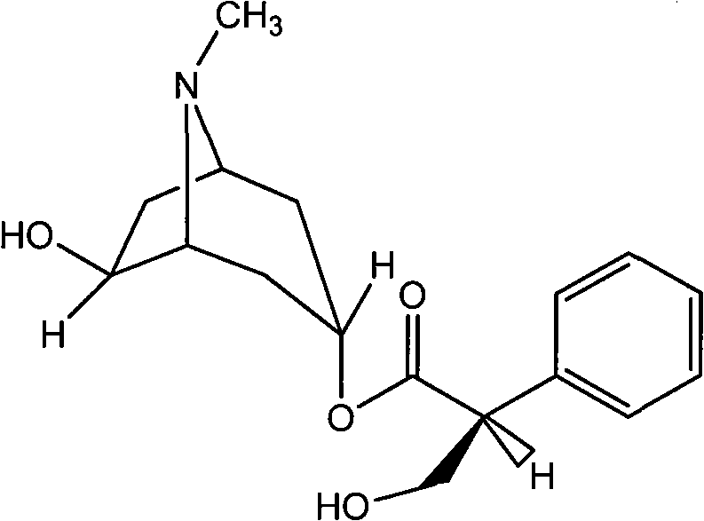 Anti-septic shock medicine compound and application thereof