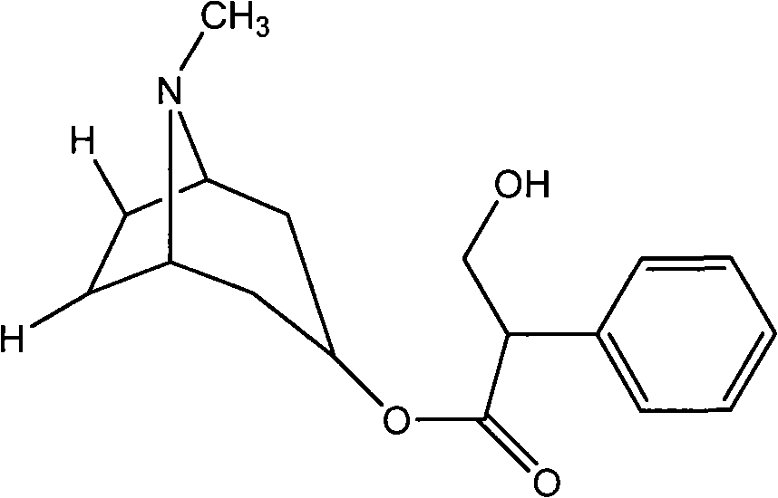 Anti-septic shock medicine compound and application thereof